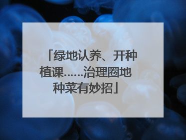 绿地认养、开种植课……治理圈地种菜有妙招