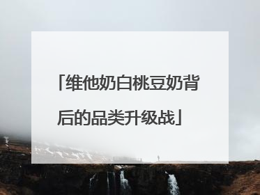 维他奶白桃豆奶背后的品类升级战