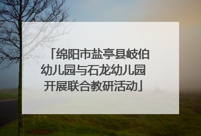 绵阳市盐亭县岐伯幼儿园与石龙幼儿园开展联合教研活动