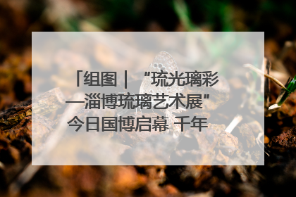 组图｜“琉光璃彩—淄博琉璃艺术展”今日国博启幕 千年窑火绽放京城