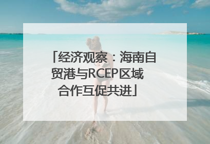 经济观察：海南自贸港与RCEP区域合作互促共进