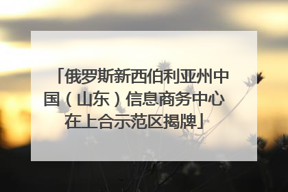 俄罗斯新西伯利亚州中国（山东）信息商务中心在上合示范区揭牌