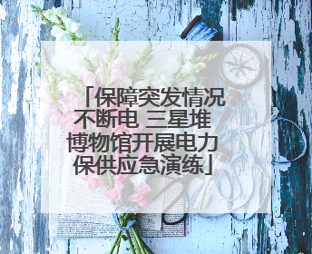 保障突发情况不断电 三星堆博物馆开展电力保供应急演练