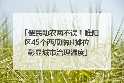便民助农两不误！睢阳区45个西瓜临时摊位 彰显城市治理温度