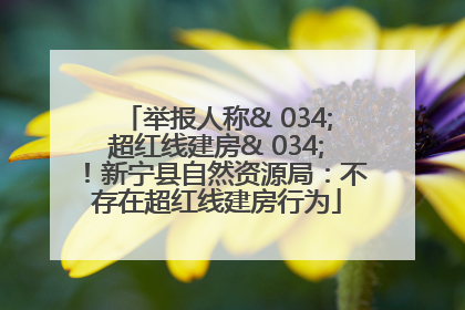 举报人称& 034;超红线建房& 034;！新宁县自然资源局：不存在超红线建房行为