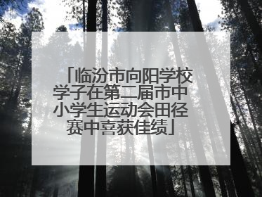 临汾市向阳学校学子在第二届市中小学生运动会田径赛中喜获佳绩