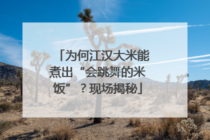 为何江汉大米能煮出“会跳舞的米饭”？现场揭秘