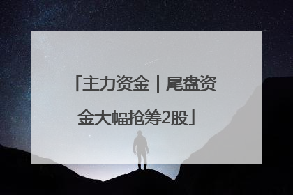主力资金｜尾盘资金大幅抢筹2股