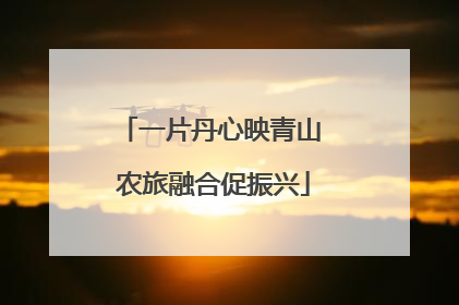 一片丹心映青山 农旅融合促振兴