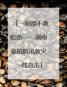 一刻都不敢松劲——湖南桑植防汛救灾一线直击