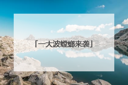 一大波螳螂来袭