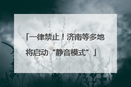 一律禁止！济南等多地将启动“静音模式”