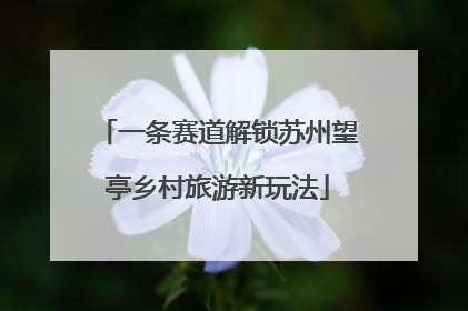 一条赛道解锁苏州望亭乡村旅游新玩法