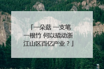 一朵菇 一支笔 一根竹 何以撬动浙江山区百亿产业？