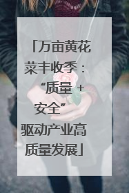 万亩黄花菜丰收季：“质量 + 安全” 驱动产业高质量发展