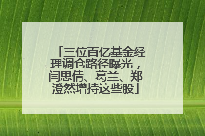 三位百亿基金经理调仓路径曝光，闫思倩、葛兰、郑澄然增持这些股