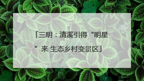 三明：清溪引得“明星”来 生态乡村变景区