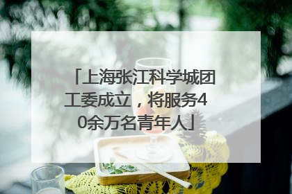 上海张江科学城团工委成立，将服务40余万名青年人