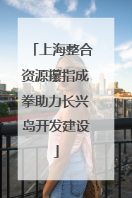上海整合资源攥指成拳助力长兴岛开发建设