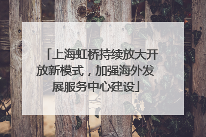 上海虹桥持续放大开放新模式，加强海外发展服务中心建设