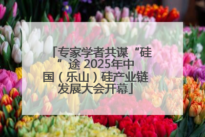 专家学者共谋“硅”途 2025年中国（乐山）硅产业链发展大会开幕