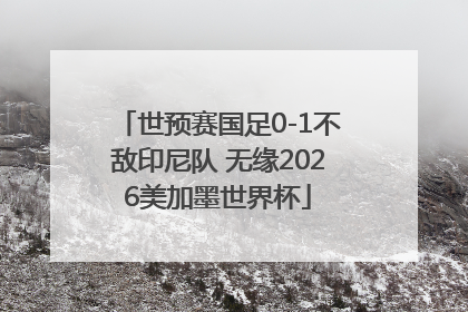 世预赛国足0-1不敌印尼队 无缘2026美加墨世界杯