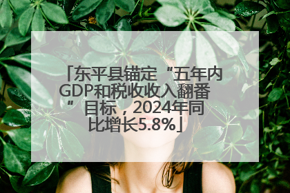 东平县锚定“五年内GDP和税收收入翻番”目标，2024年同比增长5.8%