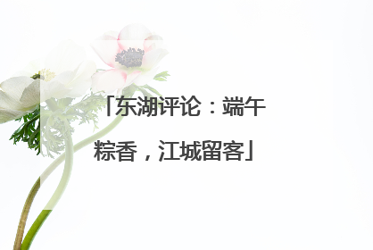 东湖评论：端午粽香，江城留客