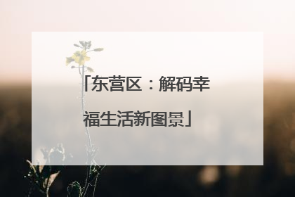 东营区：解码幸福生活新图景