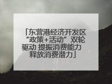 东营港经济开发区“政策+活动”双轮驱动 提振消费能力 释放消费潜力