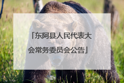 东阿县人民代表大会常务委员会公告