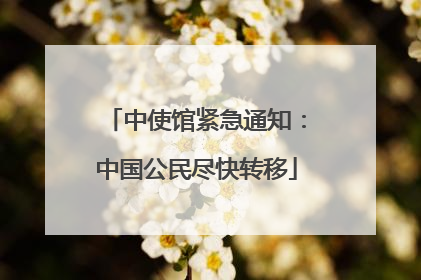 中使馆紧急通知：中国公民尽快转移