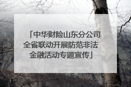 中华财险山东分公司全省联动开展防范非法金融活动专题宣传