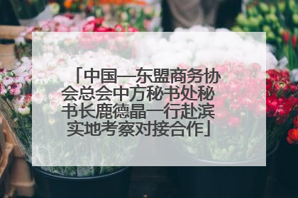 中国—东盟商务协会总会中方秘书处秘书长鹿德晶一行赴滨实地考察对接合作