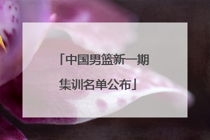 中国男篮新一期集训名单公布