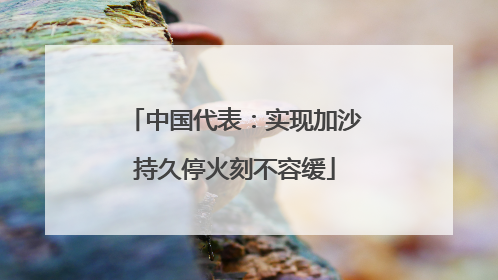 中国代表：实现加沙持久停火刻不容缓
