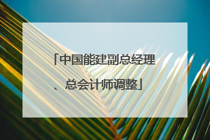 中国能建副总经理、总会计师调整