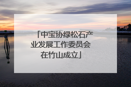 中宝协绿松石产业发展工作委员会在竹山成立