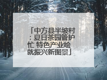 中方县半坡村：夏日茶园管护忙 特色产业绘就振兴新图景