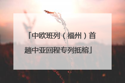 中欧班列（福州）首趟中亚回程专列抵榕