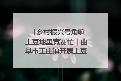 乡村振兴号角响 土豆地里竞赛忙｜曲阜市王庄镇开展土豆收获劳动竞赛
