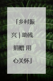 乡村振兴｜助残捐赠 用心关怀