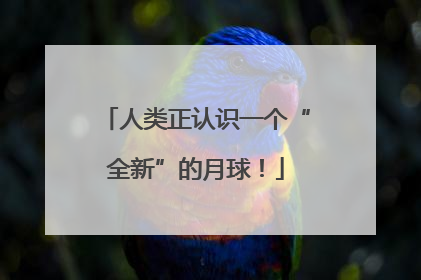 人类正认识一个“全新”的月球！