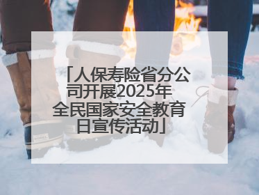 人保寿险省分公司开展2025年全民国家安全教育日宣传活动