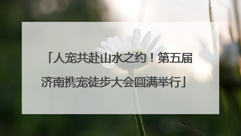 人宠共赴山水之约！第五届济南携宠徒步大会圆满举行