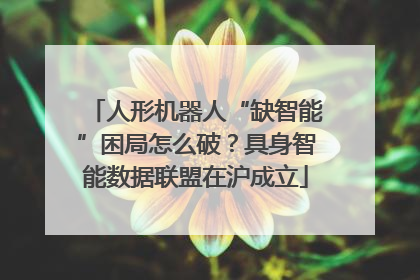 人形机器人“缺智能”困局怎么破？具身智能数据联盟在沪成立
