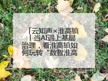 云知声×淮高镇丨当AI遇上基层治理，看淮高镇如何玩转“数智淮高”新花样