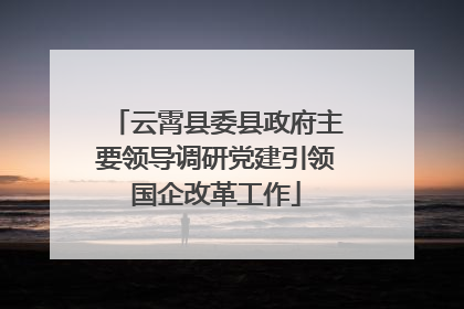 云霄县委县政府主要领导调研党建引领国企改革工作