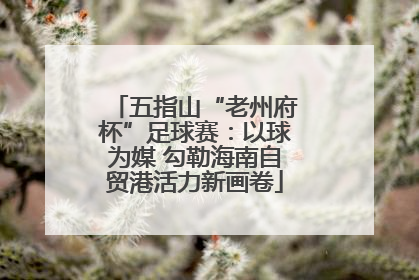 五指山“老州府杯”足球赛：以球为媒 勾勒海南自贸港活力新画卷
