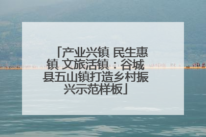 产业兴镇 民生惠镇 文旅活镇：谷城县五山镇打造乡村振兴示范样板